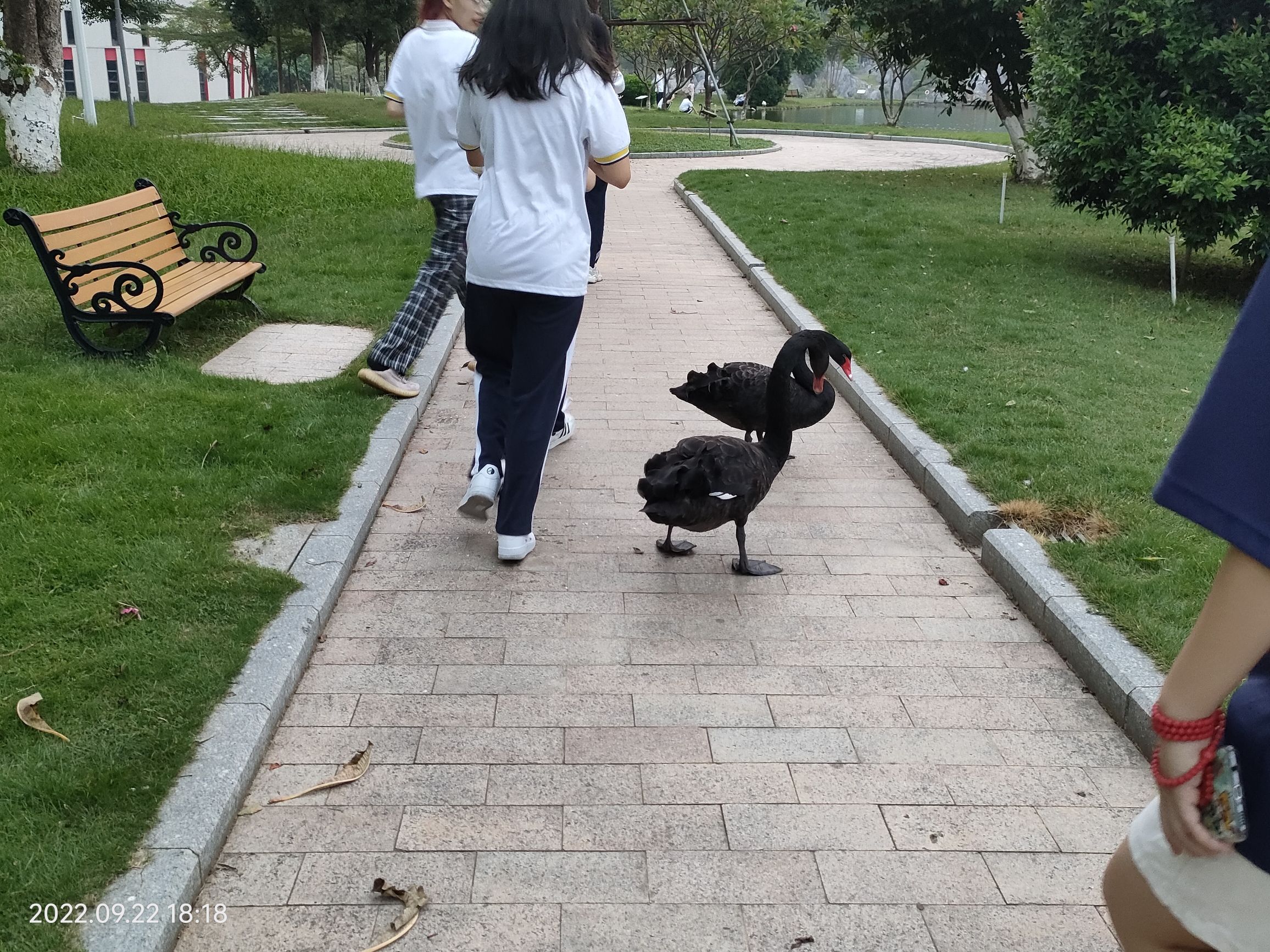 翰墨池旅行图片 3