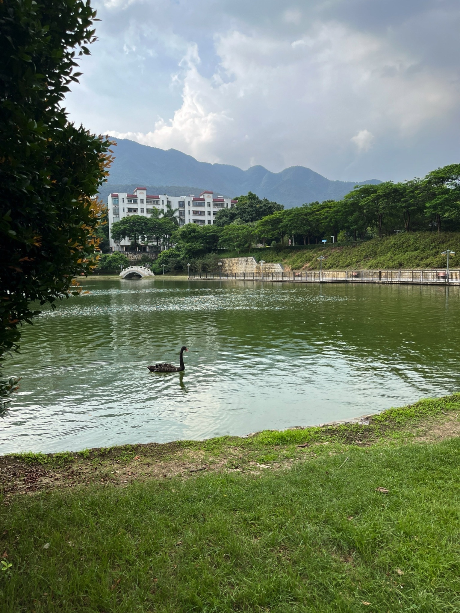 翰墨池旅行图片 3