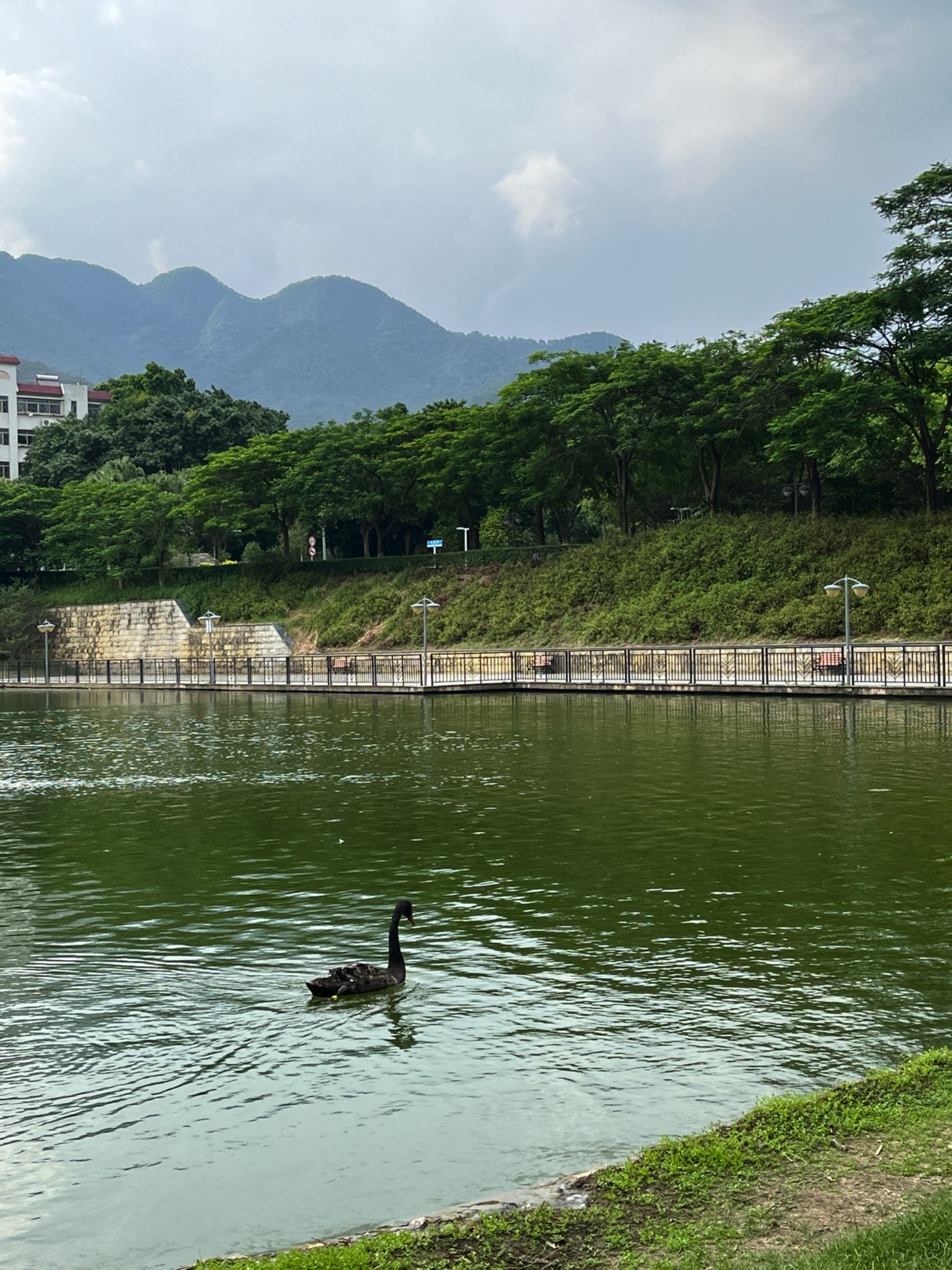 翰墨池旅行图片 2