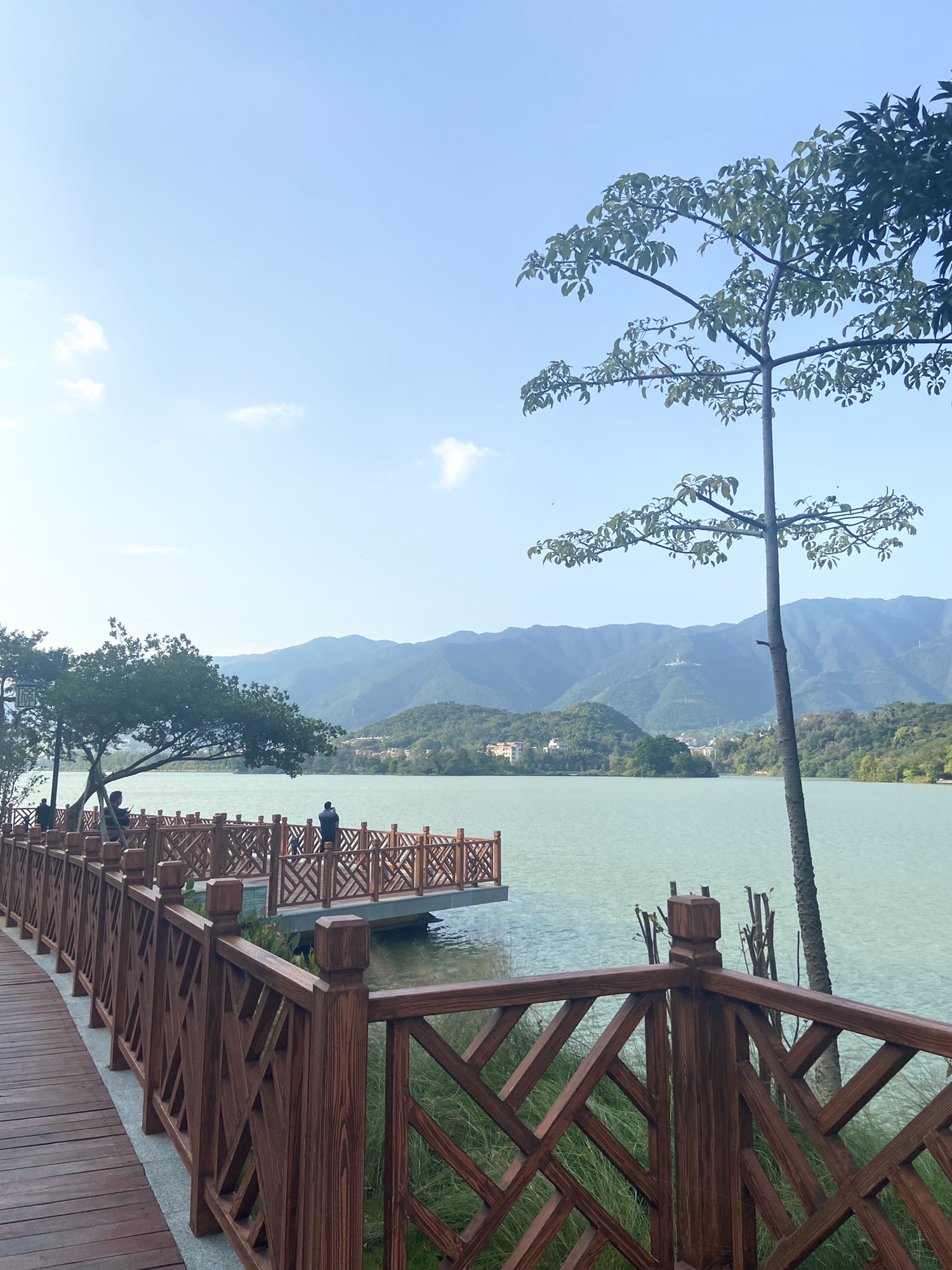 大榄岗长者公园旅行图片 2