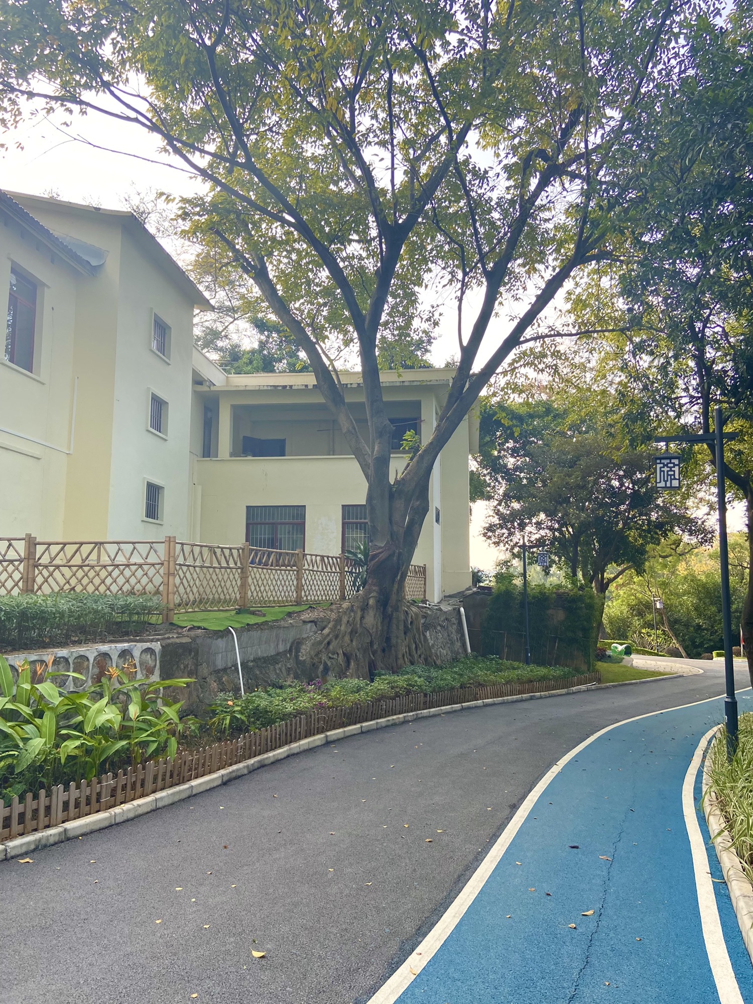 大榄岗长者公园旅行图片 1