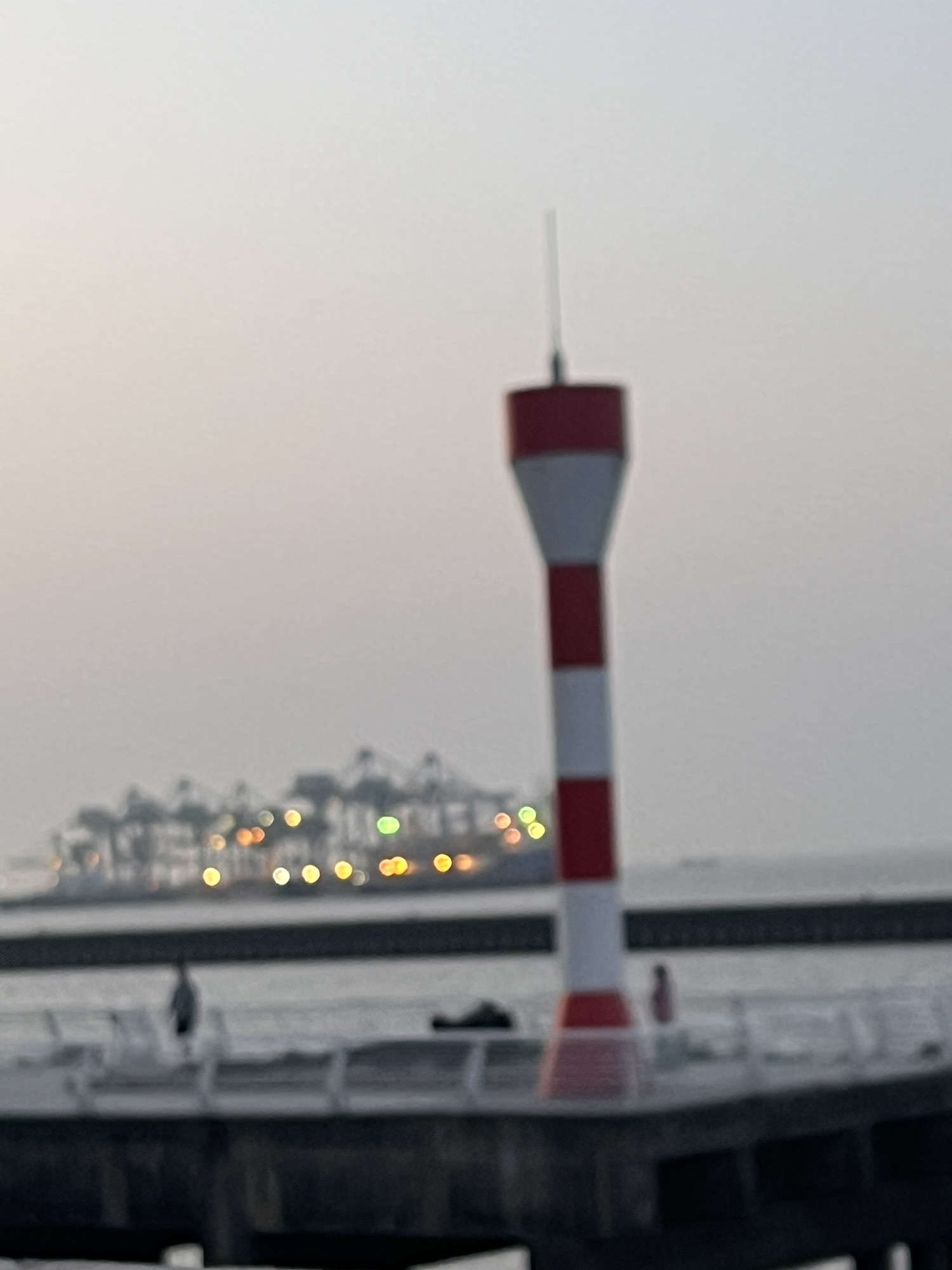 上海长滩观光塔旅行图片 3