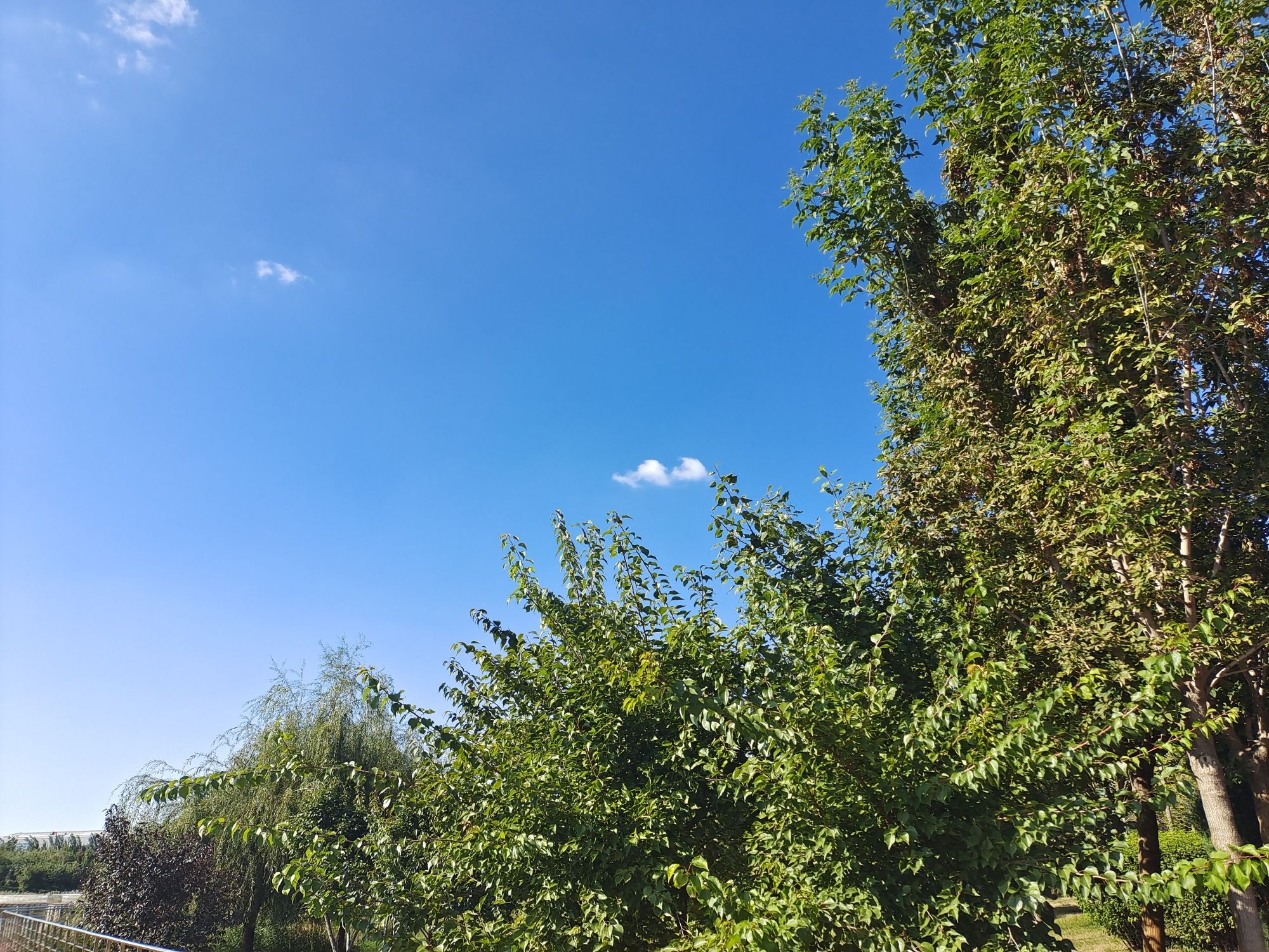 中德公园旅行图片 2