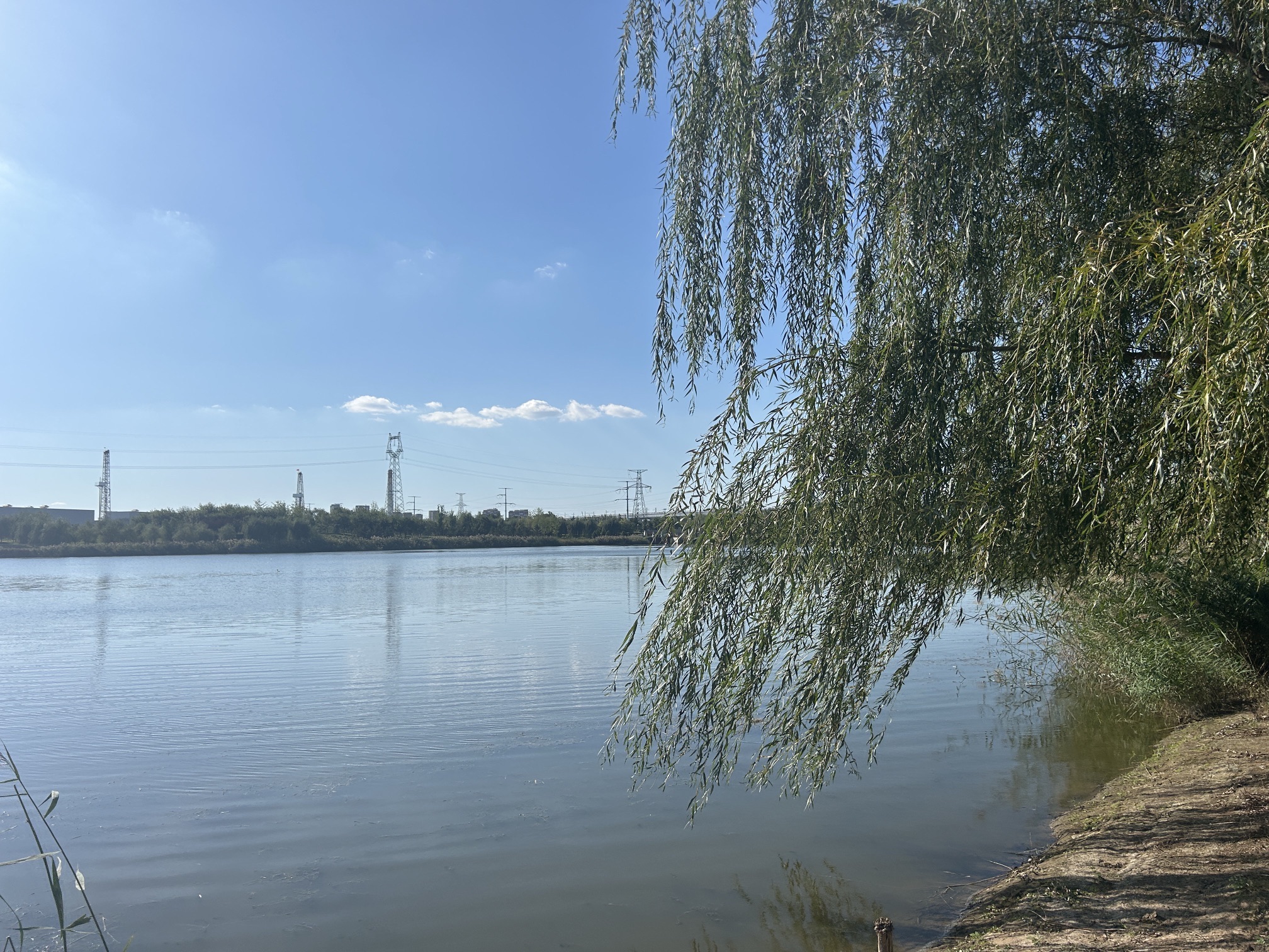 中德公园旅行图片 2