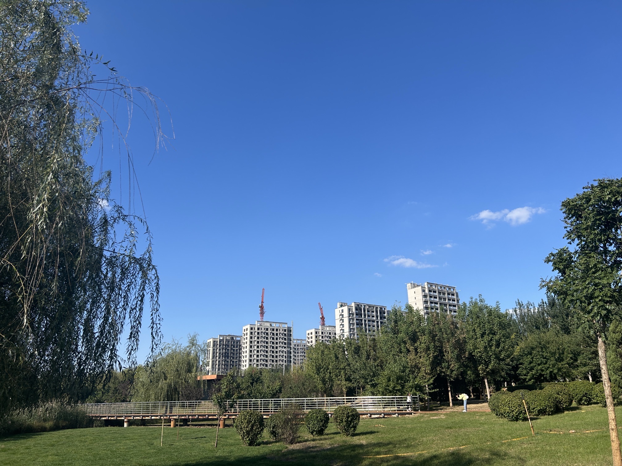 中德公园旅行图片 3
