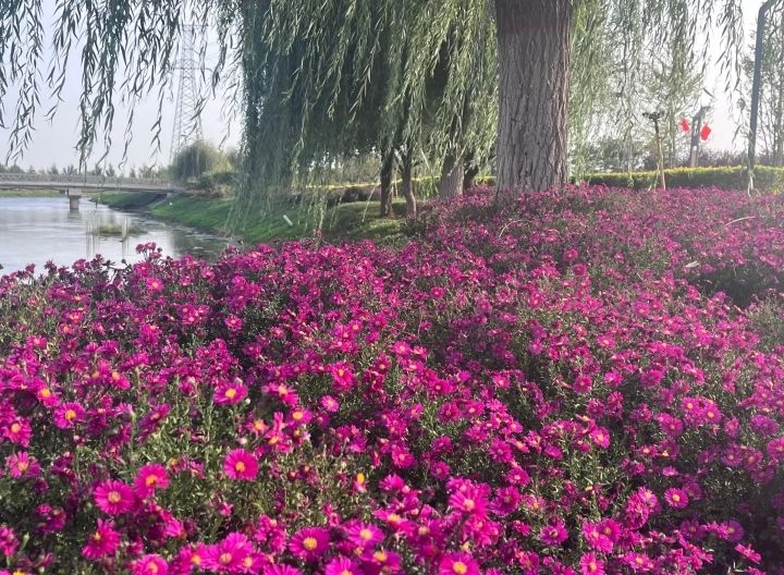 中德公园旅行图片 3