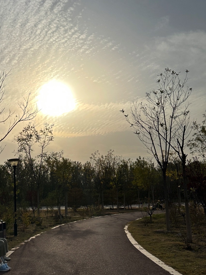 平津道公园旅行图片 3
