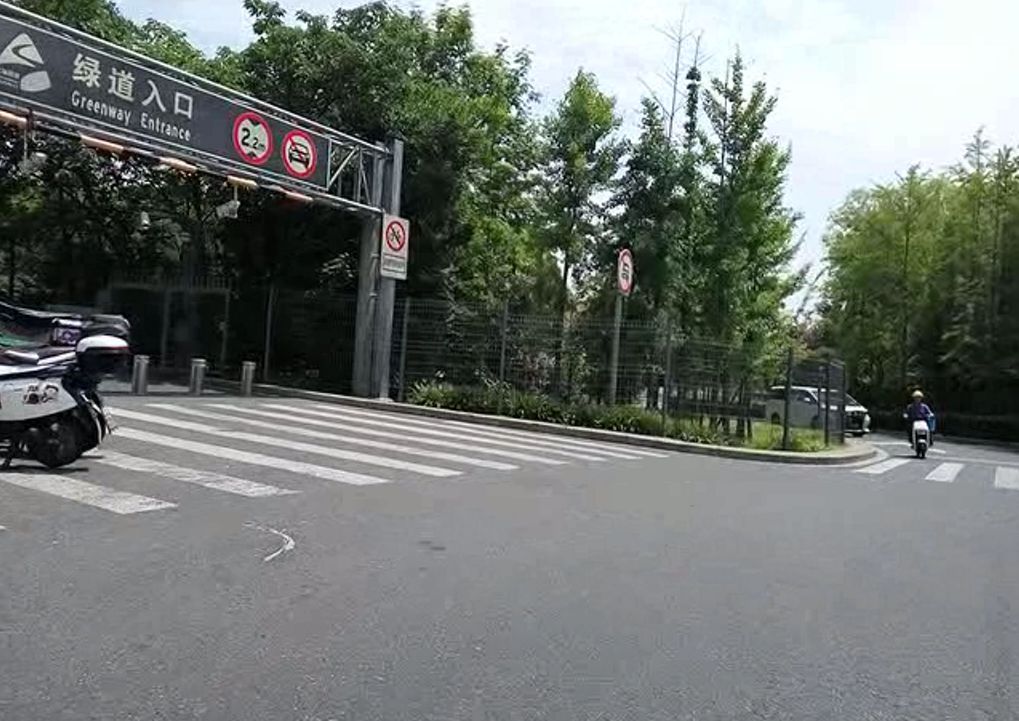 长宁外环生态绿道旅行图片 2