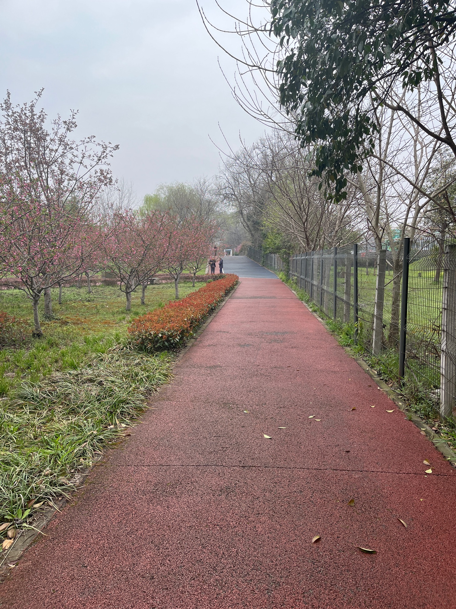 长宁外环生态绿道旅行图片 2