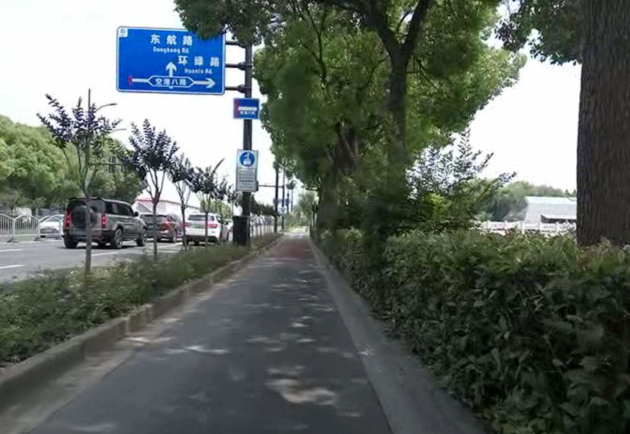 长宁外环生态绿道旅行图片 1