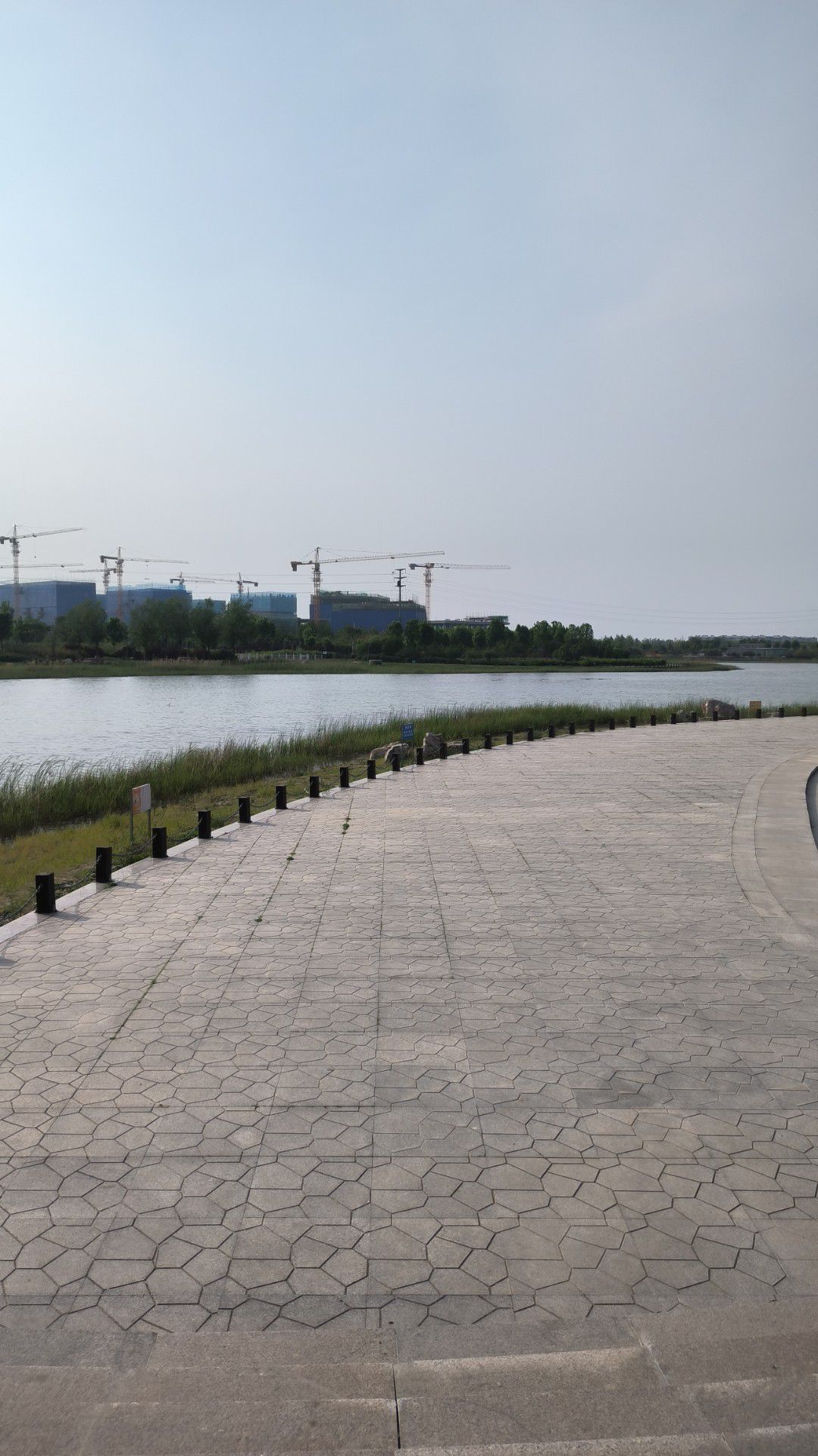 宁晋凤鸣湖公园旅行图片 3