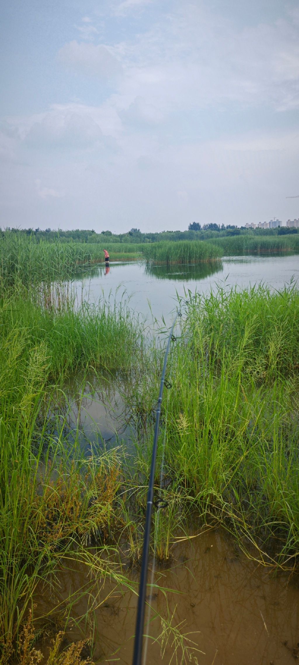 宁晋凤鸣湖公园旅行图片 1