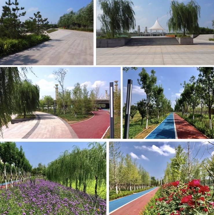 宁晋凤鸣湖公园旅行图片 1