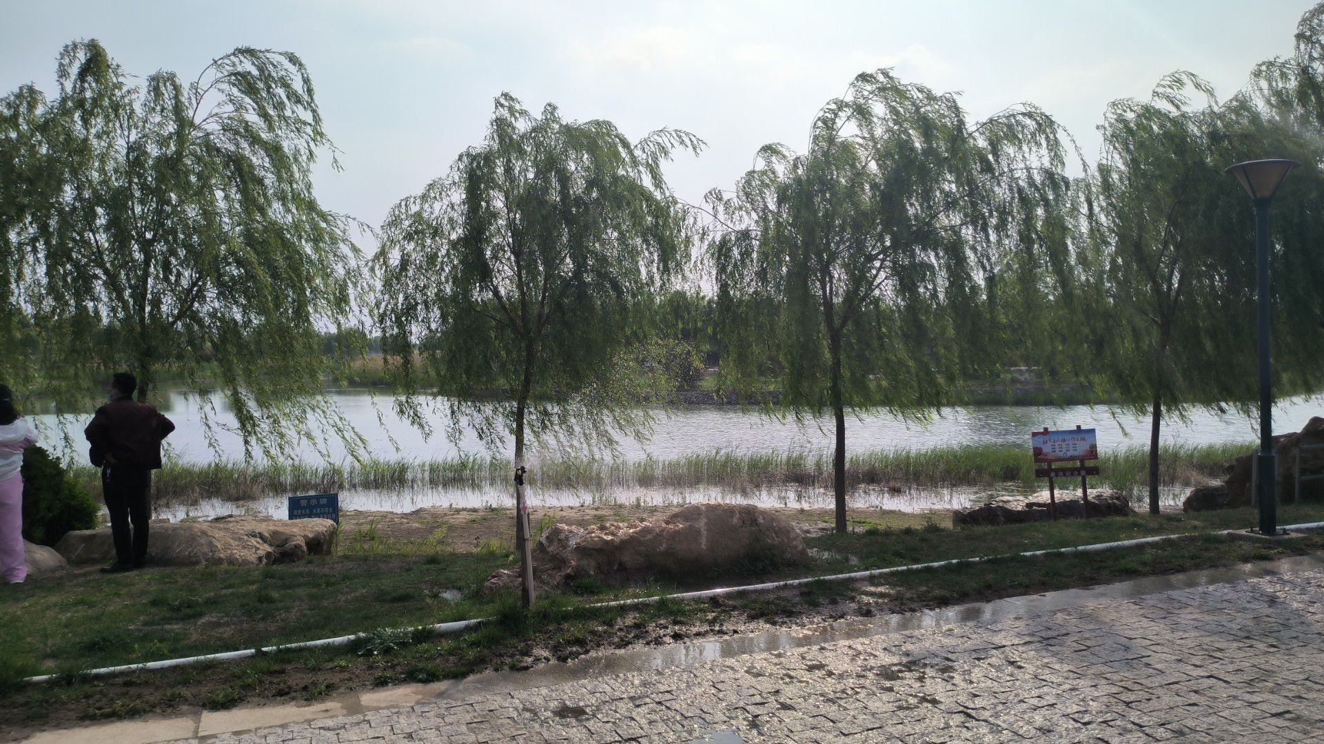 宁晋凤鸣湖公园旅行图片 2