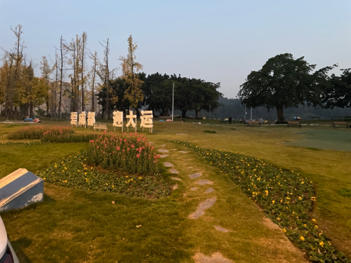 草地绿茵乒乓公园