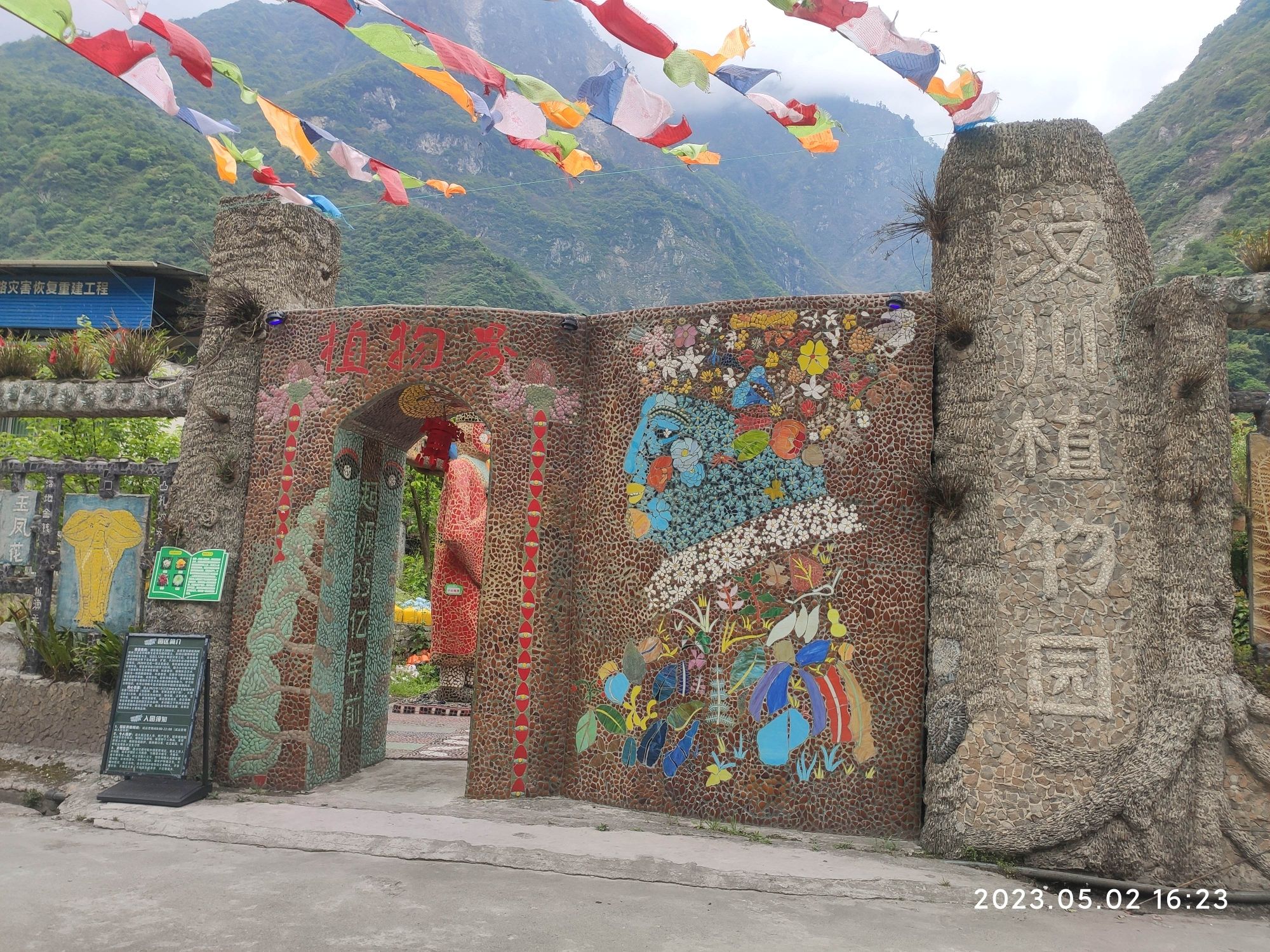 汶川植物园旅行图片 1