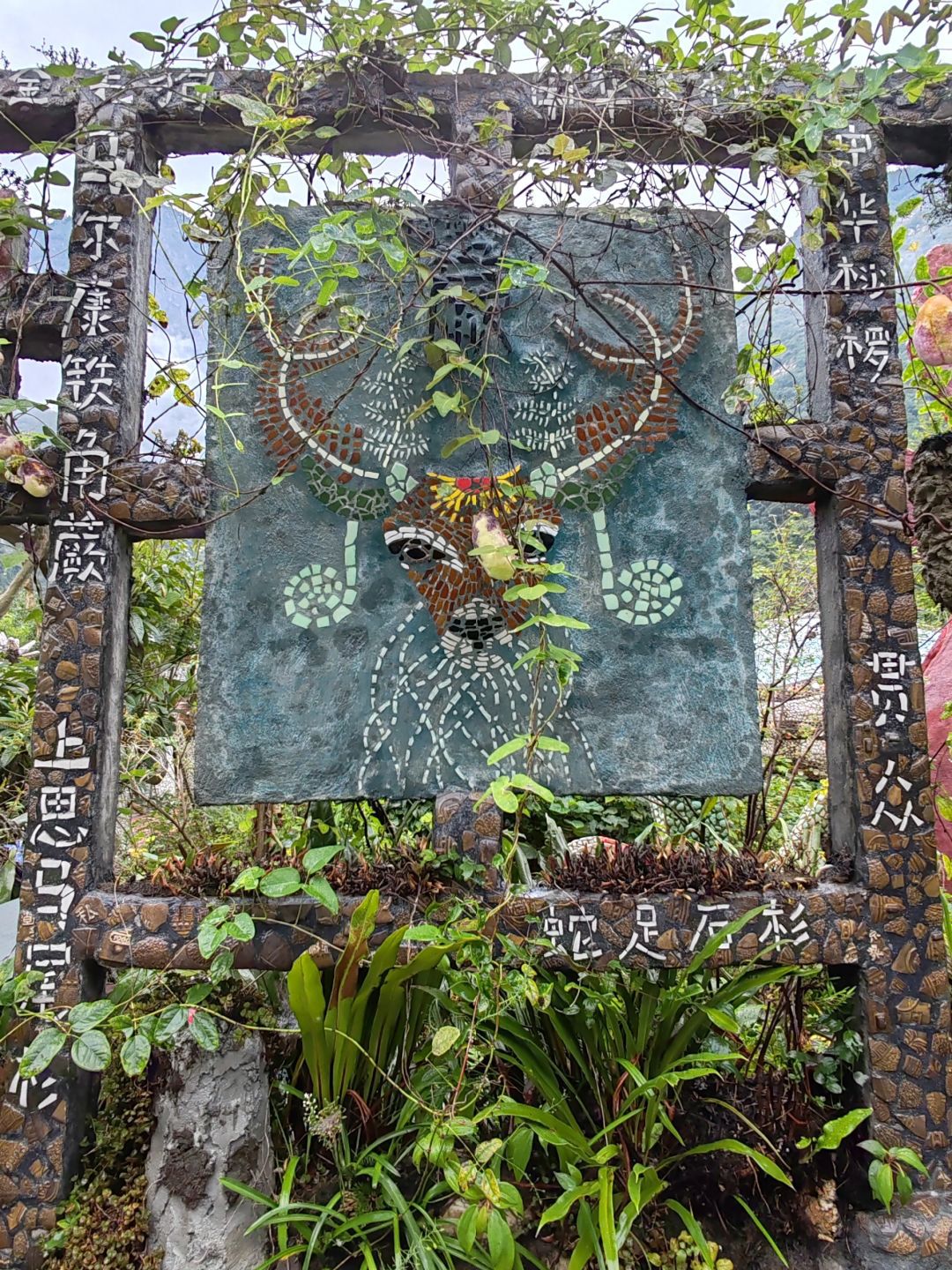 汶川植物园旅行图片 2