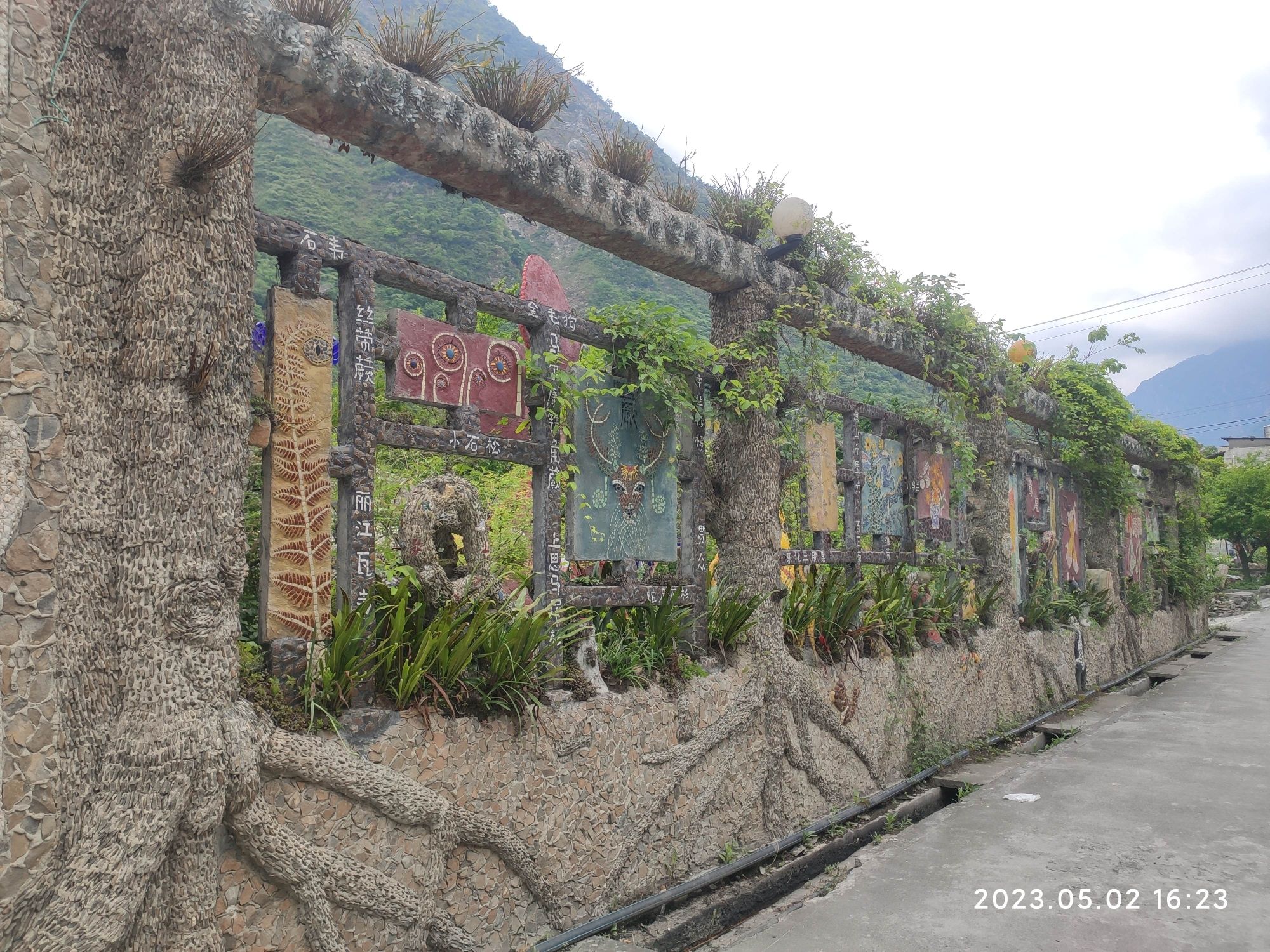 汶川植物园旅行图片 2