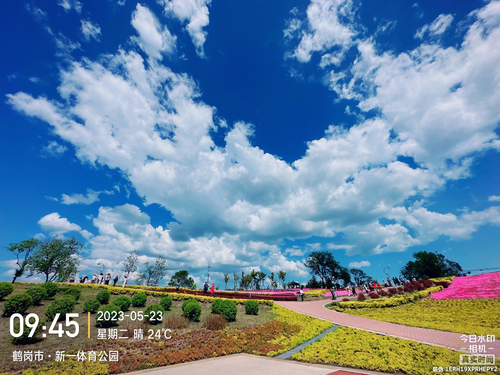 新一体育公园旅行图片 3