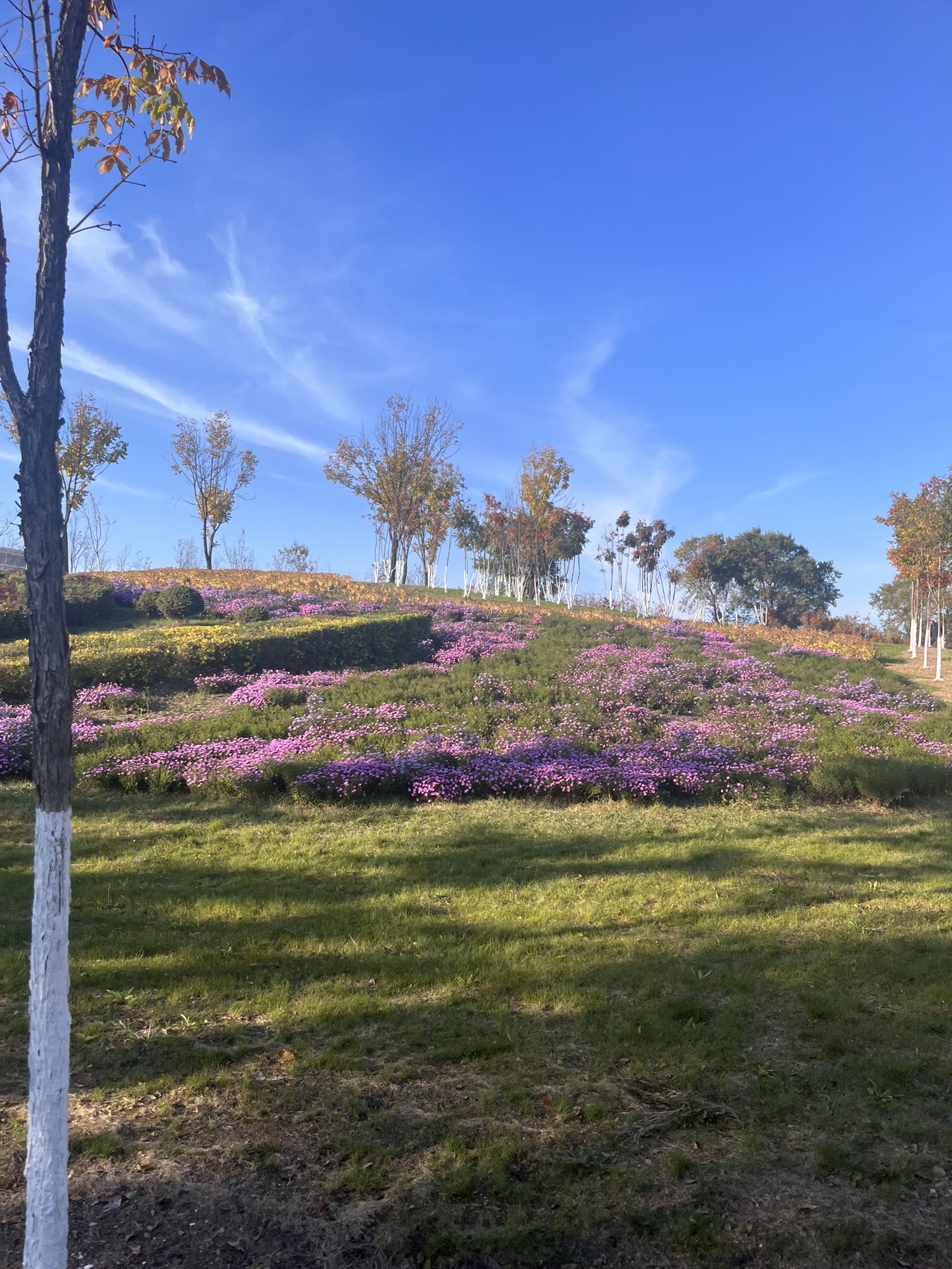 新一体育公园旅行图片 3