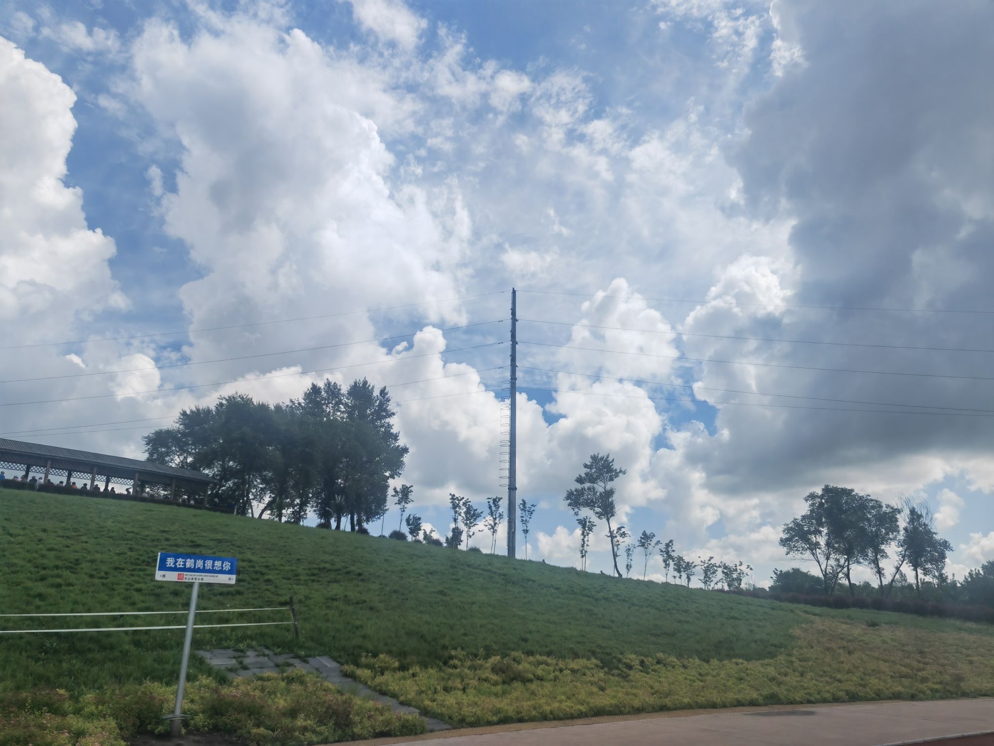 新一体育公园旅行图片 3