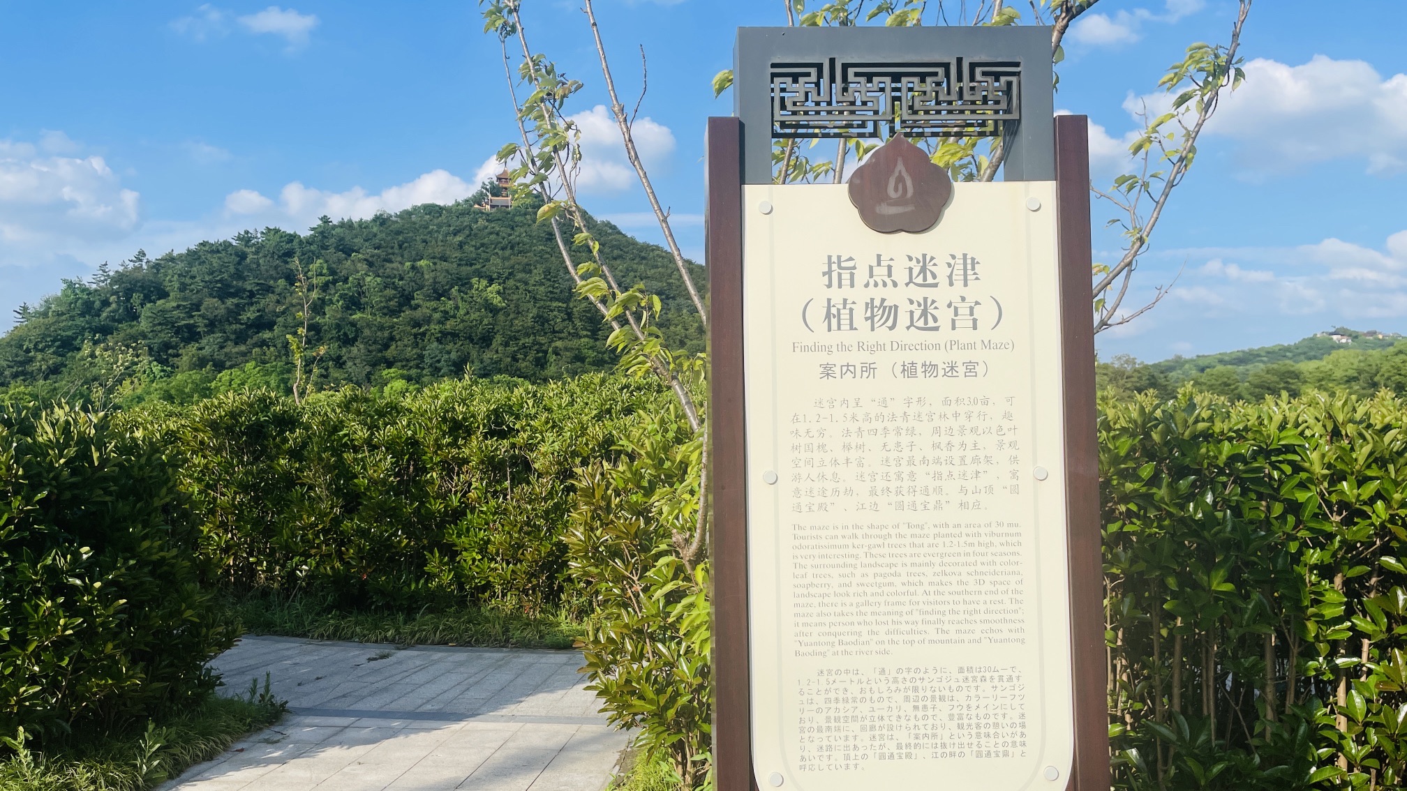 指点迷津(植物迷宫)