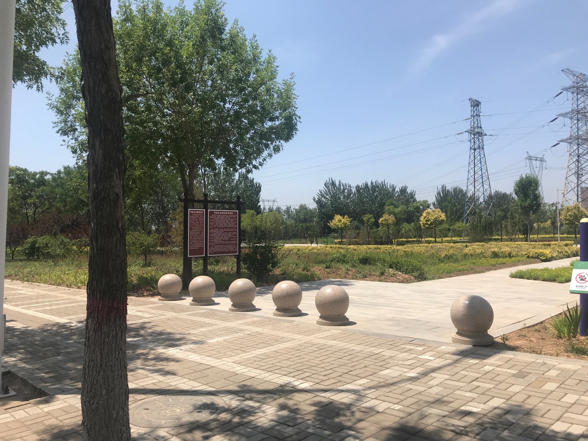 学府生态绿地公园旅行图片 2