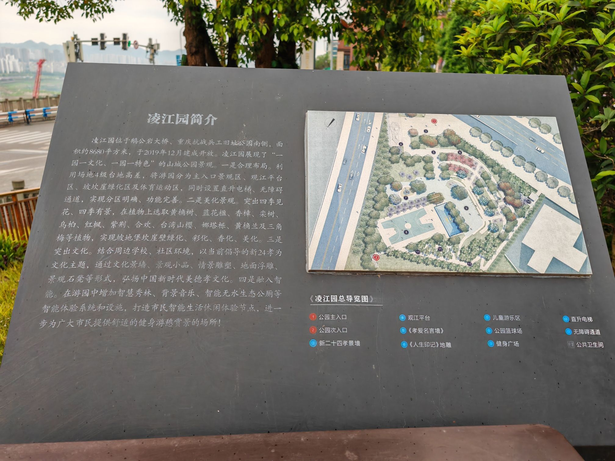 凌江园旅行图片 1