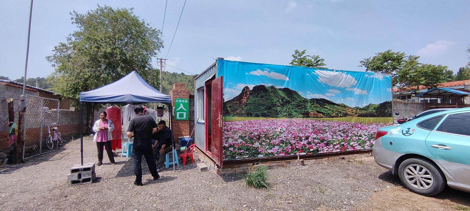 大美温滴楼花海旅行图片 1