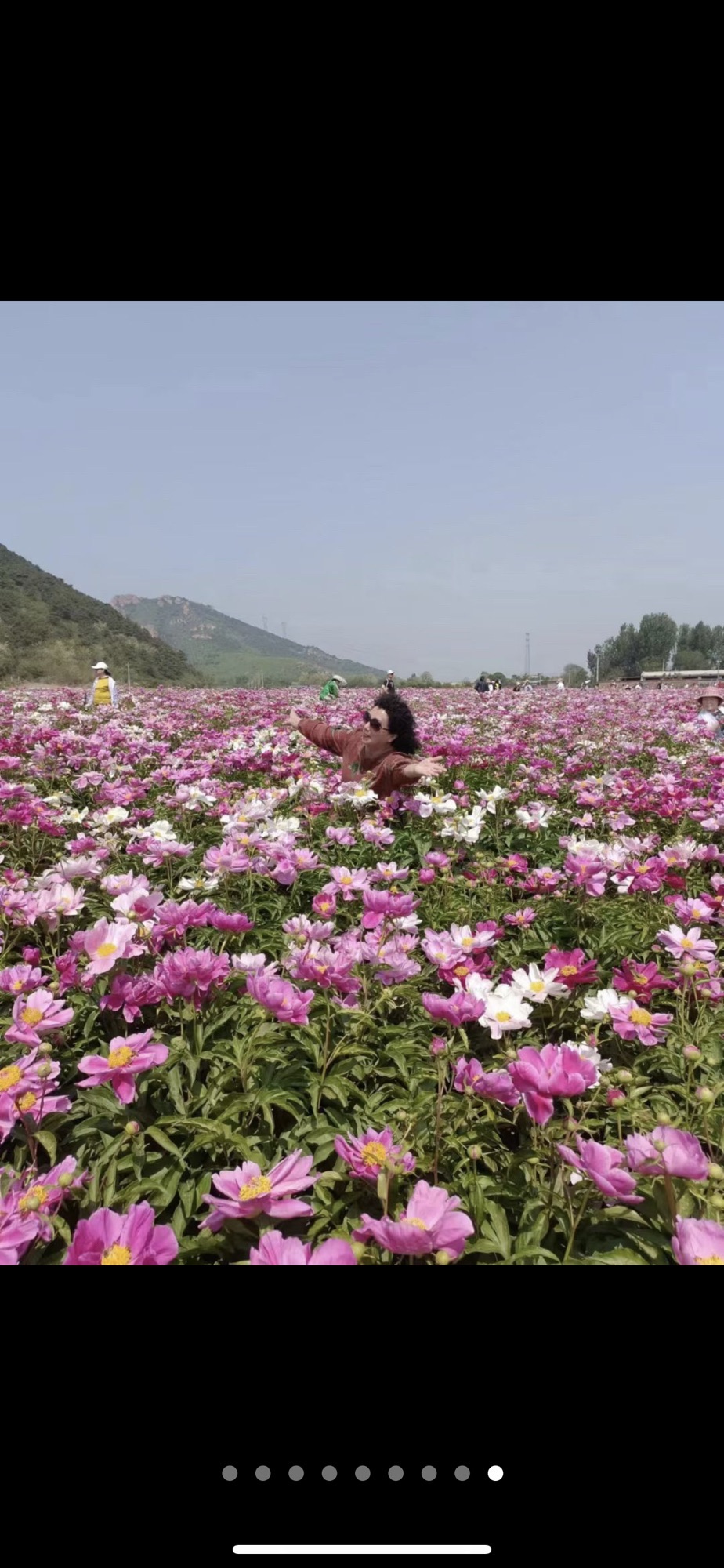 大美温滴楼花海旅行图片 1