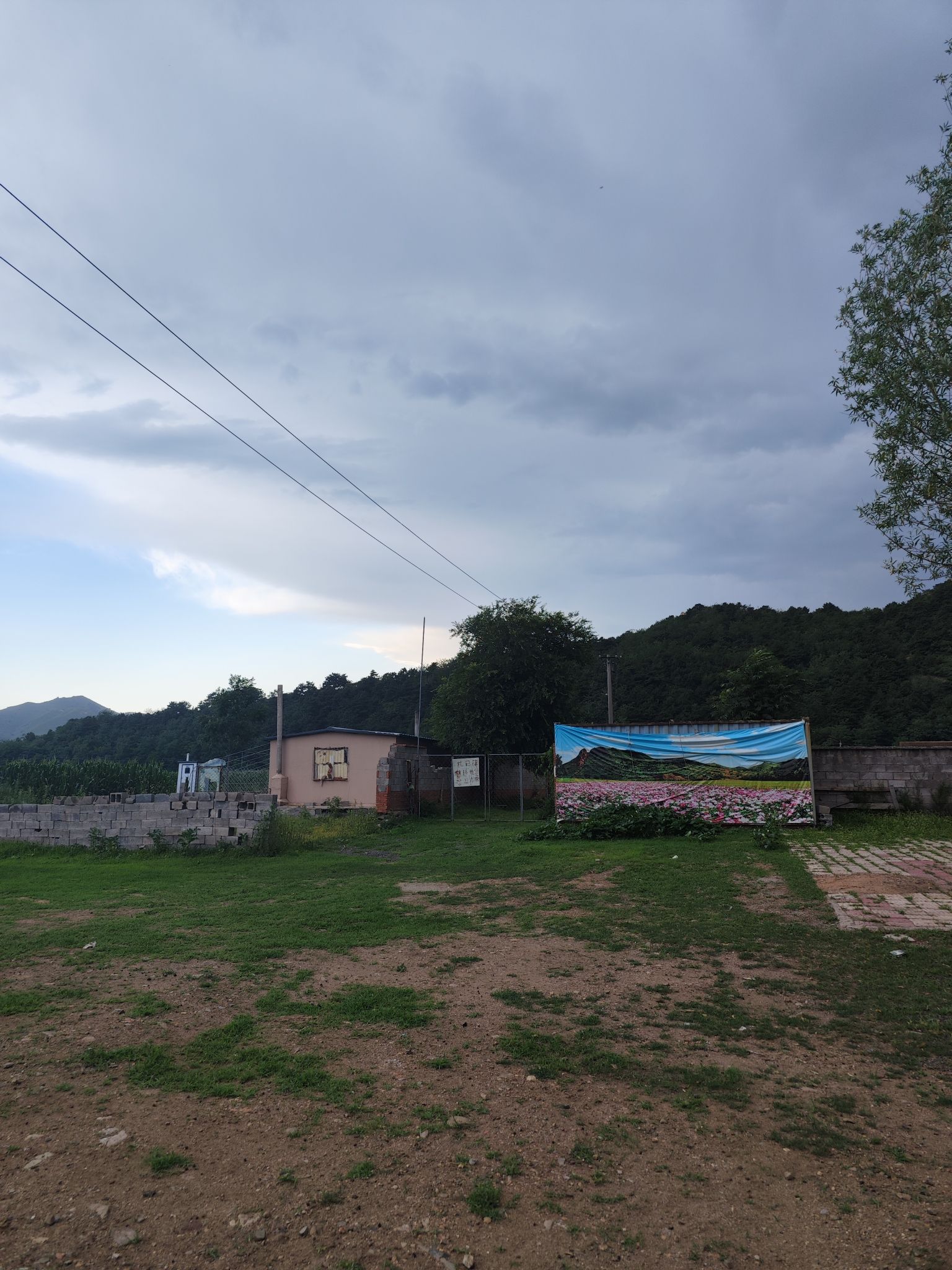 大美温滴楼花海旅行图片 2