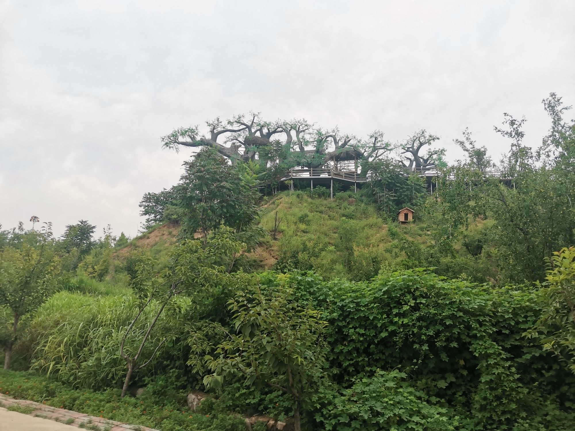 东寺渔村景区旅行图片 1