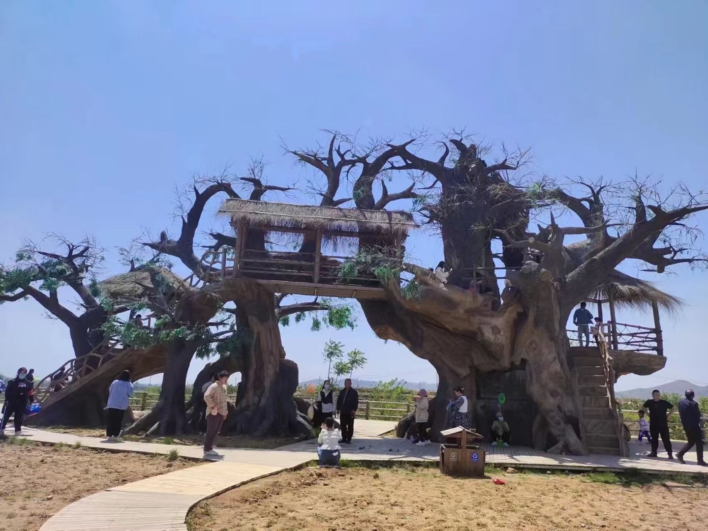 东寺渔村景区旅行图片 2
