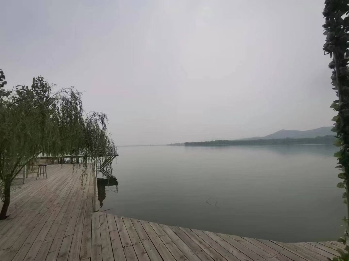东寺渔村景区旅行图片 3