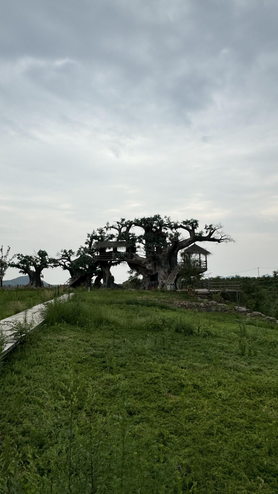 东寺渔村景区旅行图片 3
