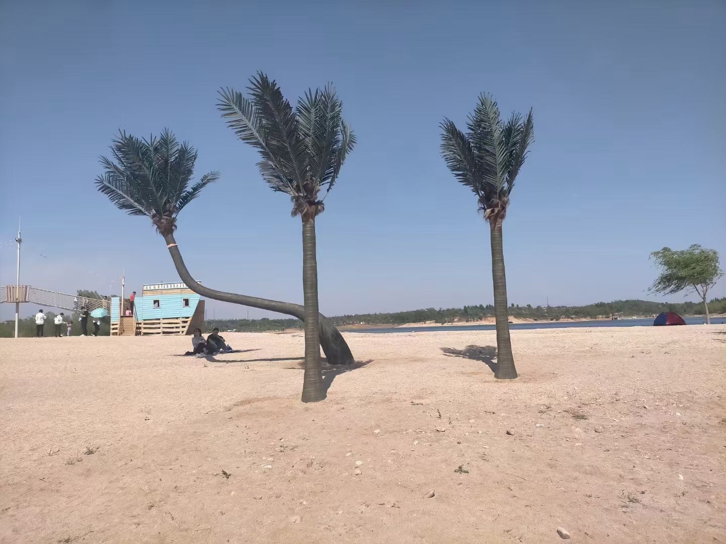 东寺渔村景区旅行图片 3