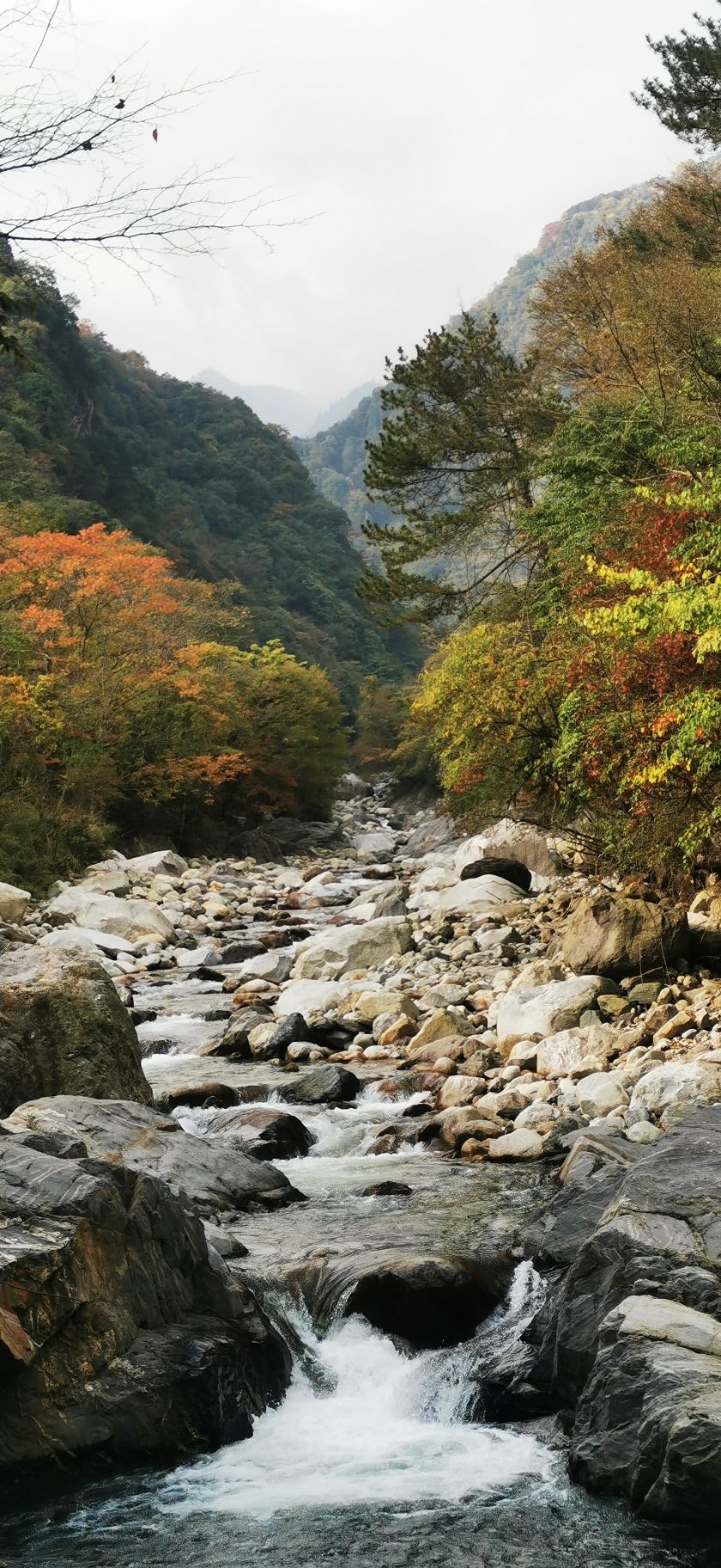 老河沟自然保护区旅行图片 3