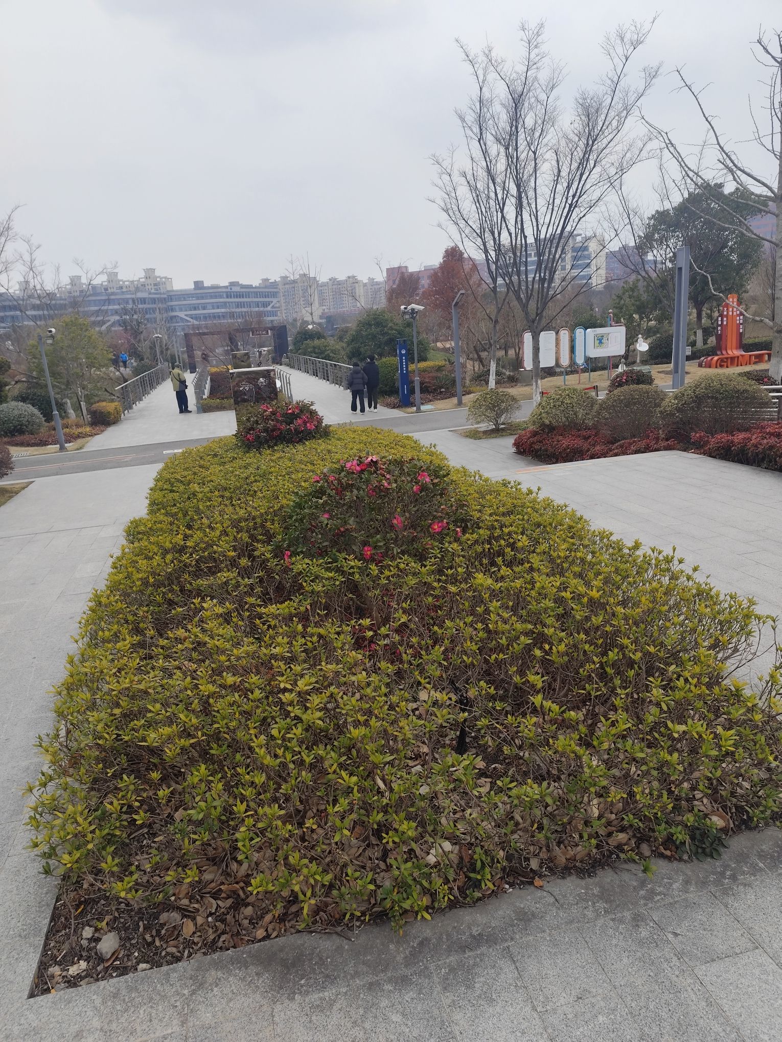 古美公园旅行图片 3