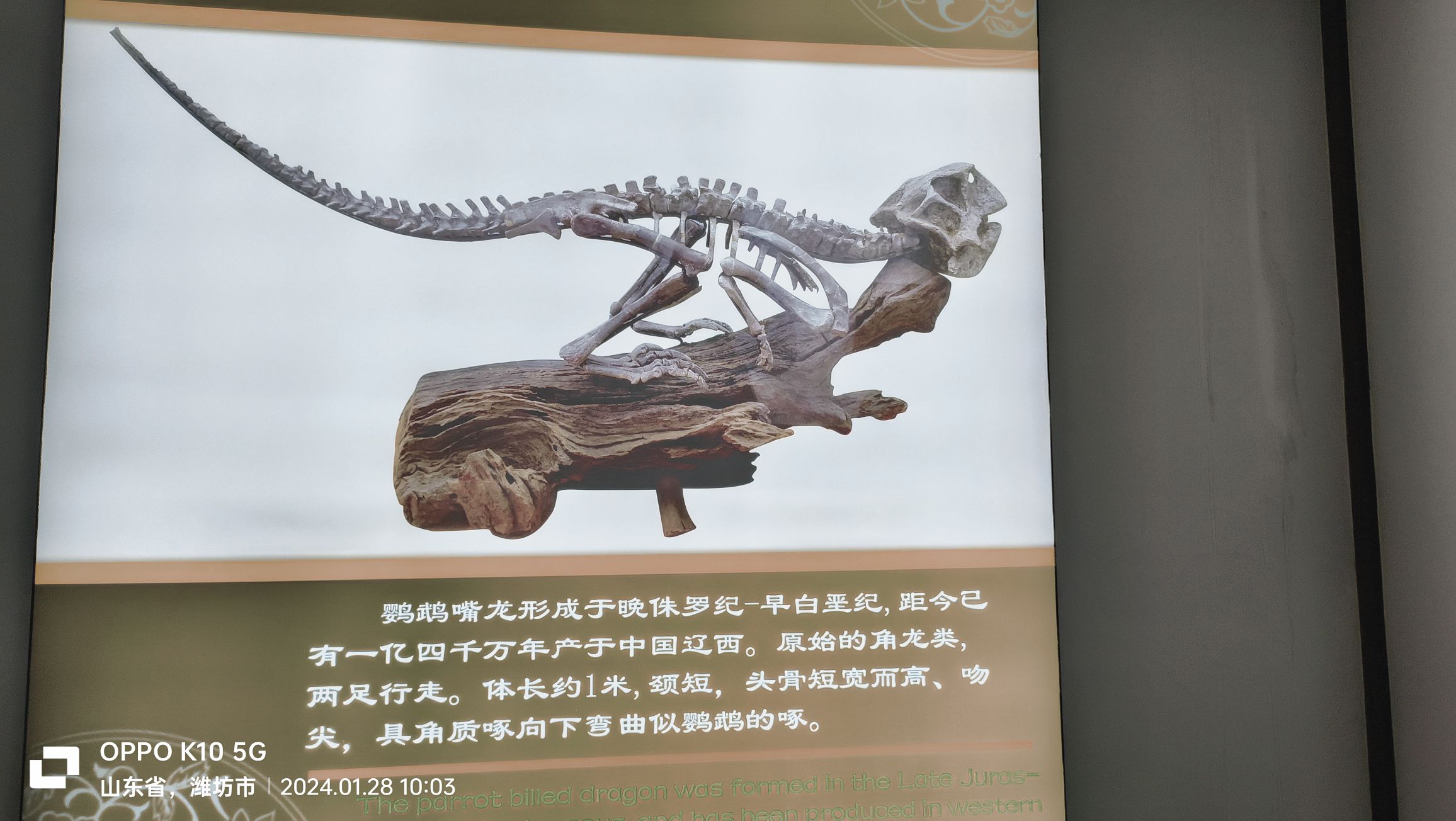 老爷车主题公园旅行图片 2