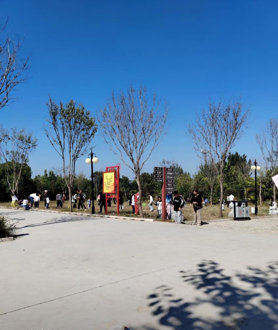 老爷车主题公园旅行图片 1