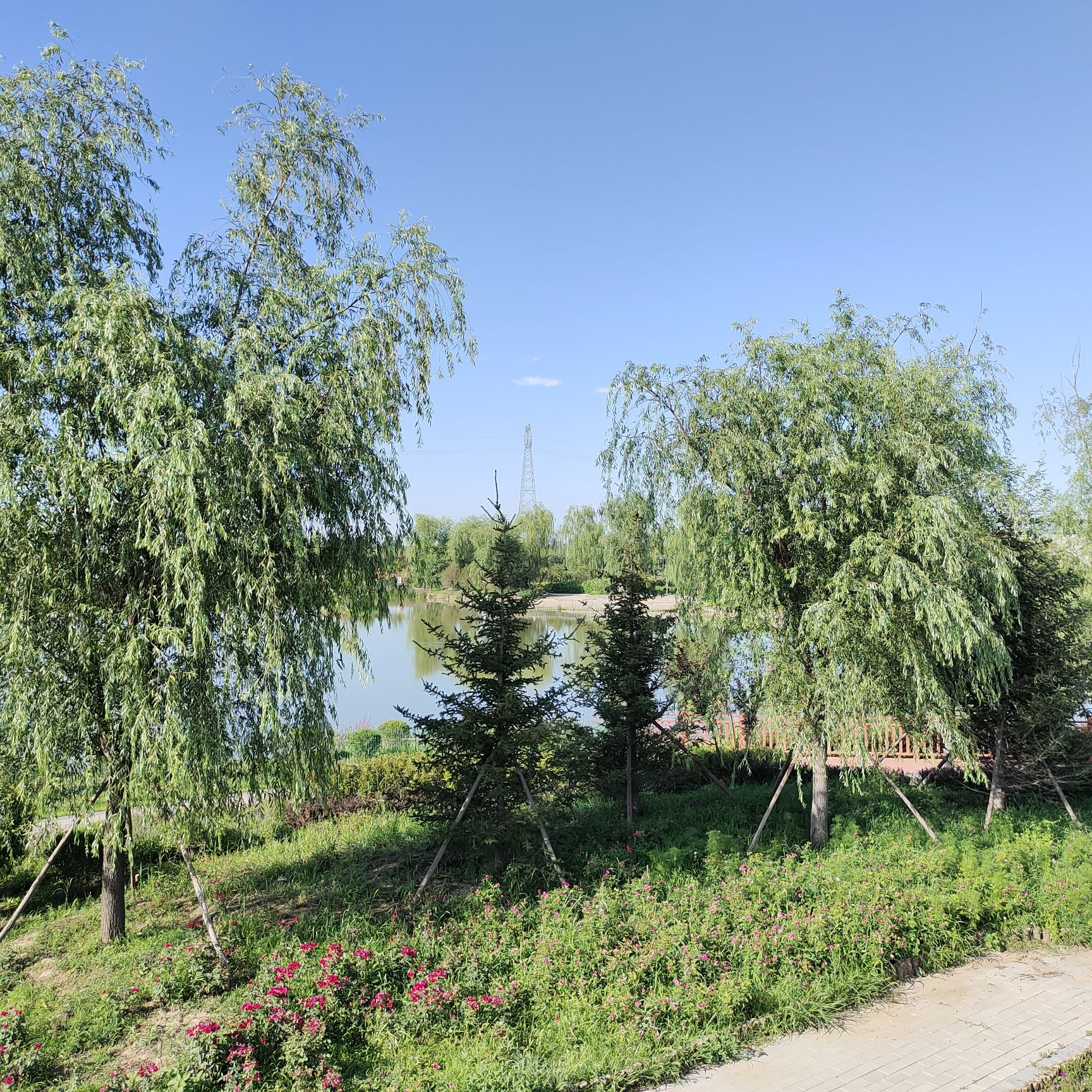 胡各庄村天鹅湖旅行图片 2