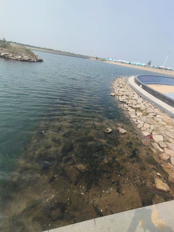 力高沙滩旅行图片 1
