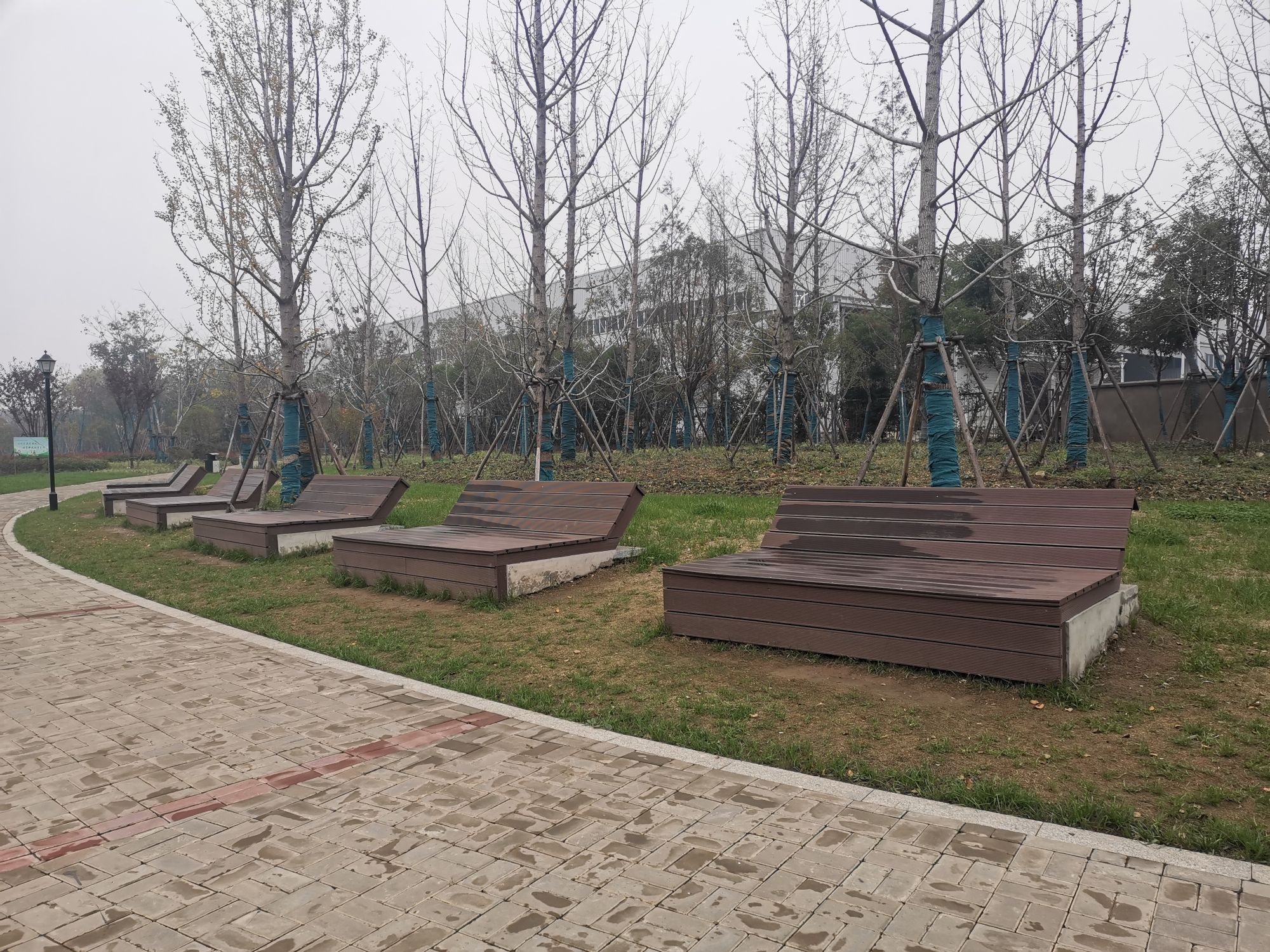 经开区北区中心公园旅行图片 2