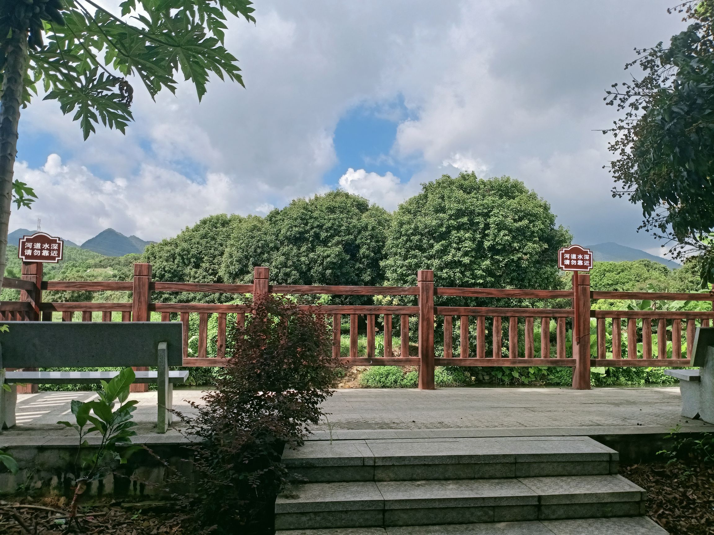 黄竹沥古荔枝公园旅行图片 1