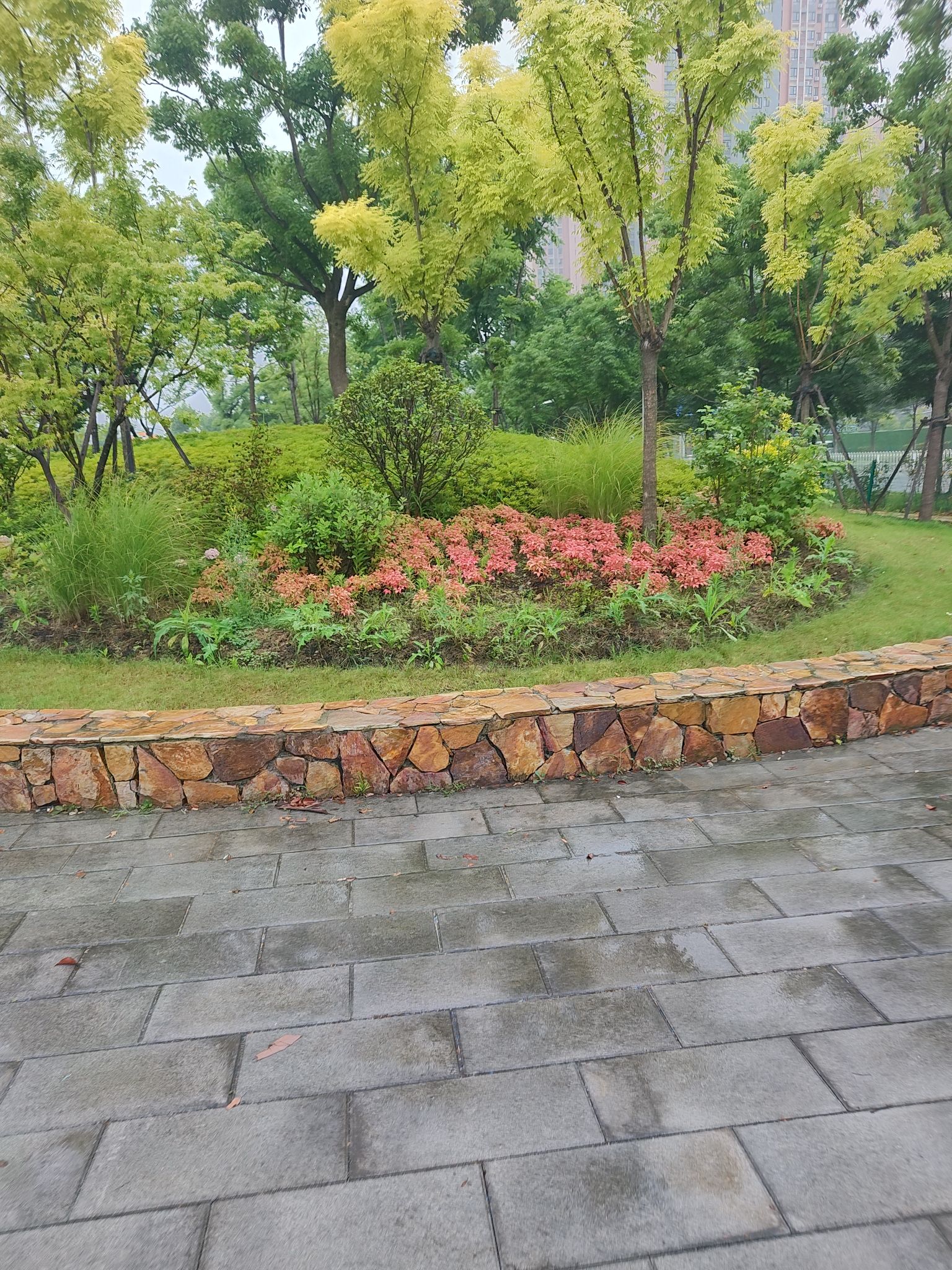 毛坦公园旅行图片 3