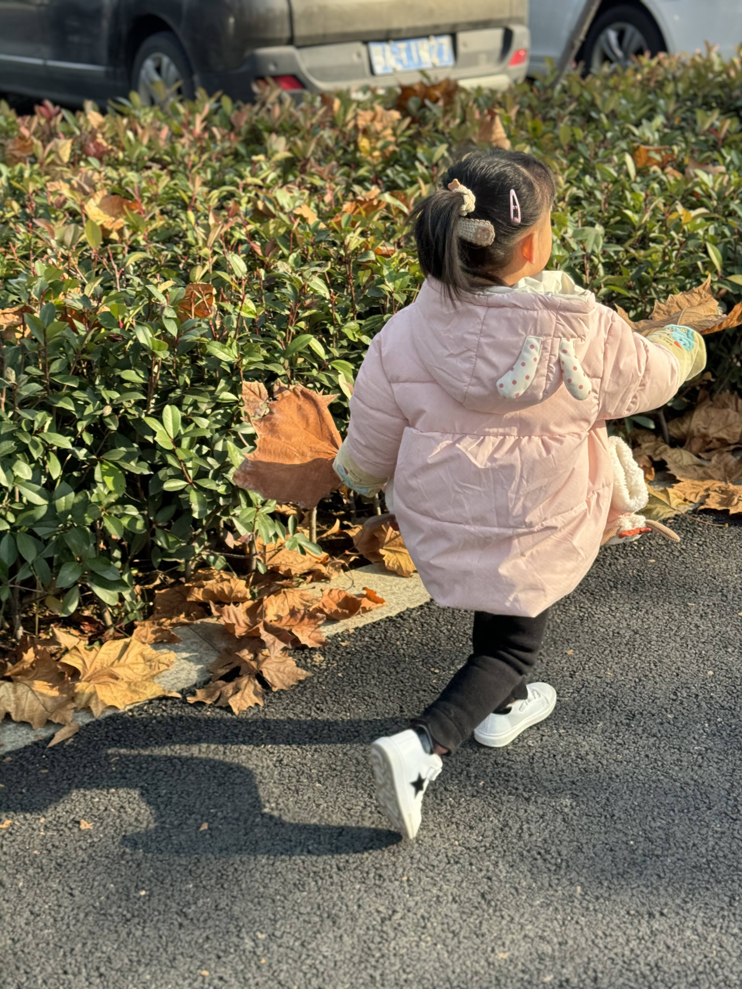 毛坦公园旅行图片 3