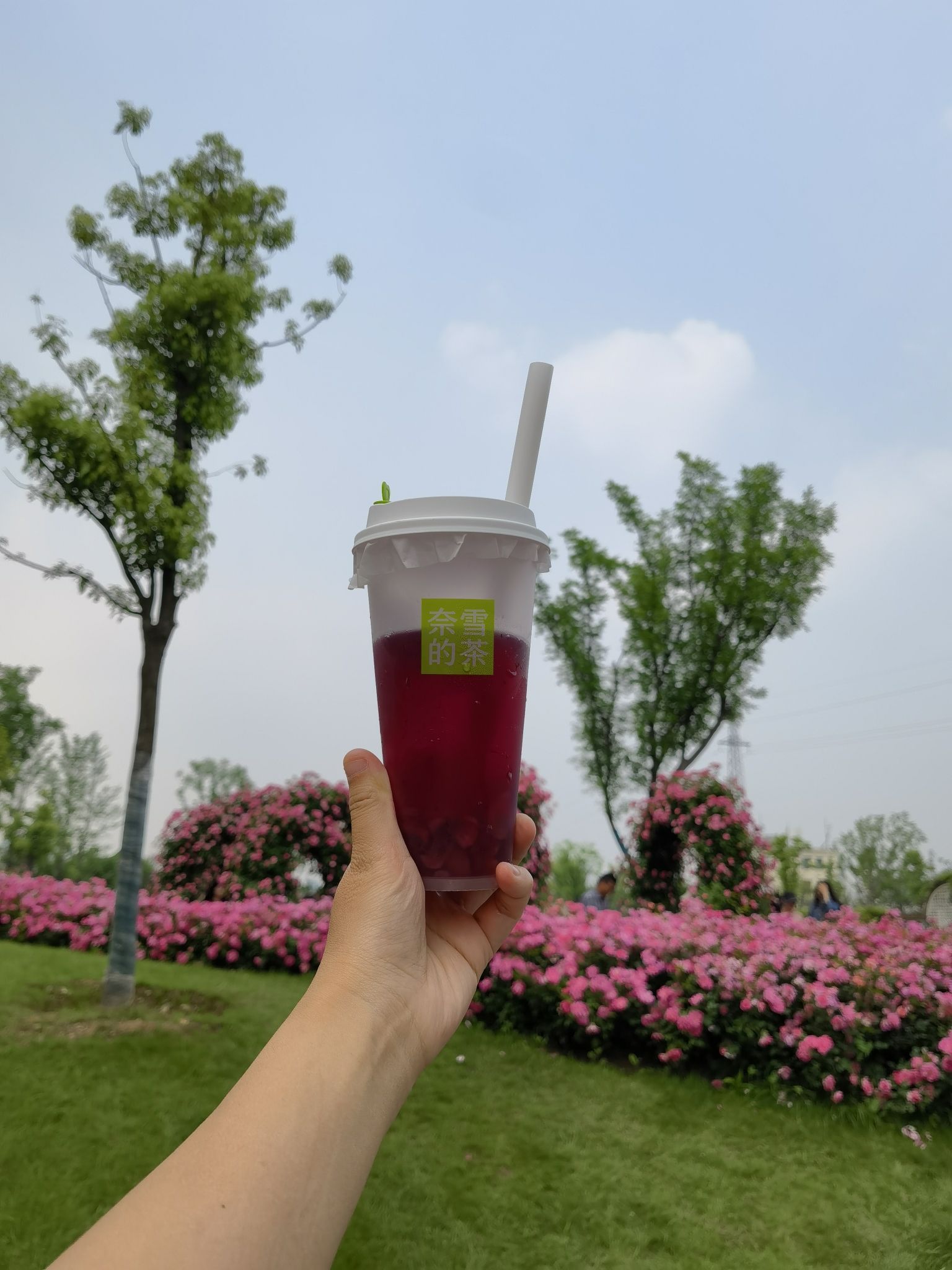 毛坦公园旅行图片 2