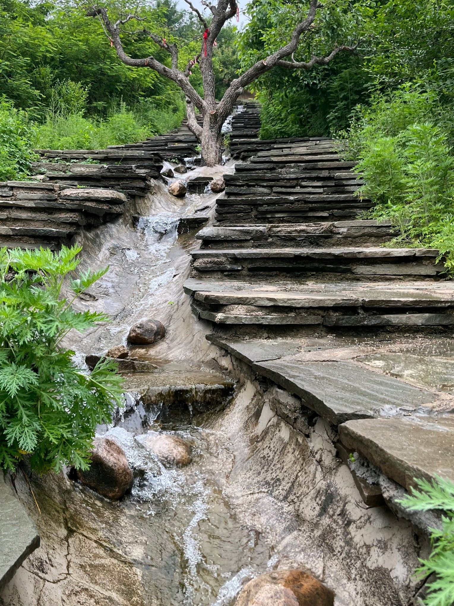 红山谷景区旅行图片 1