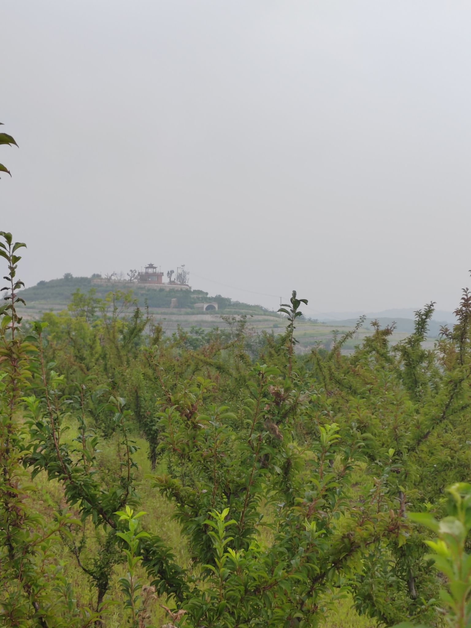 红山谷景区旅行图片 3