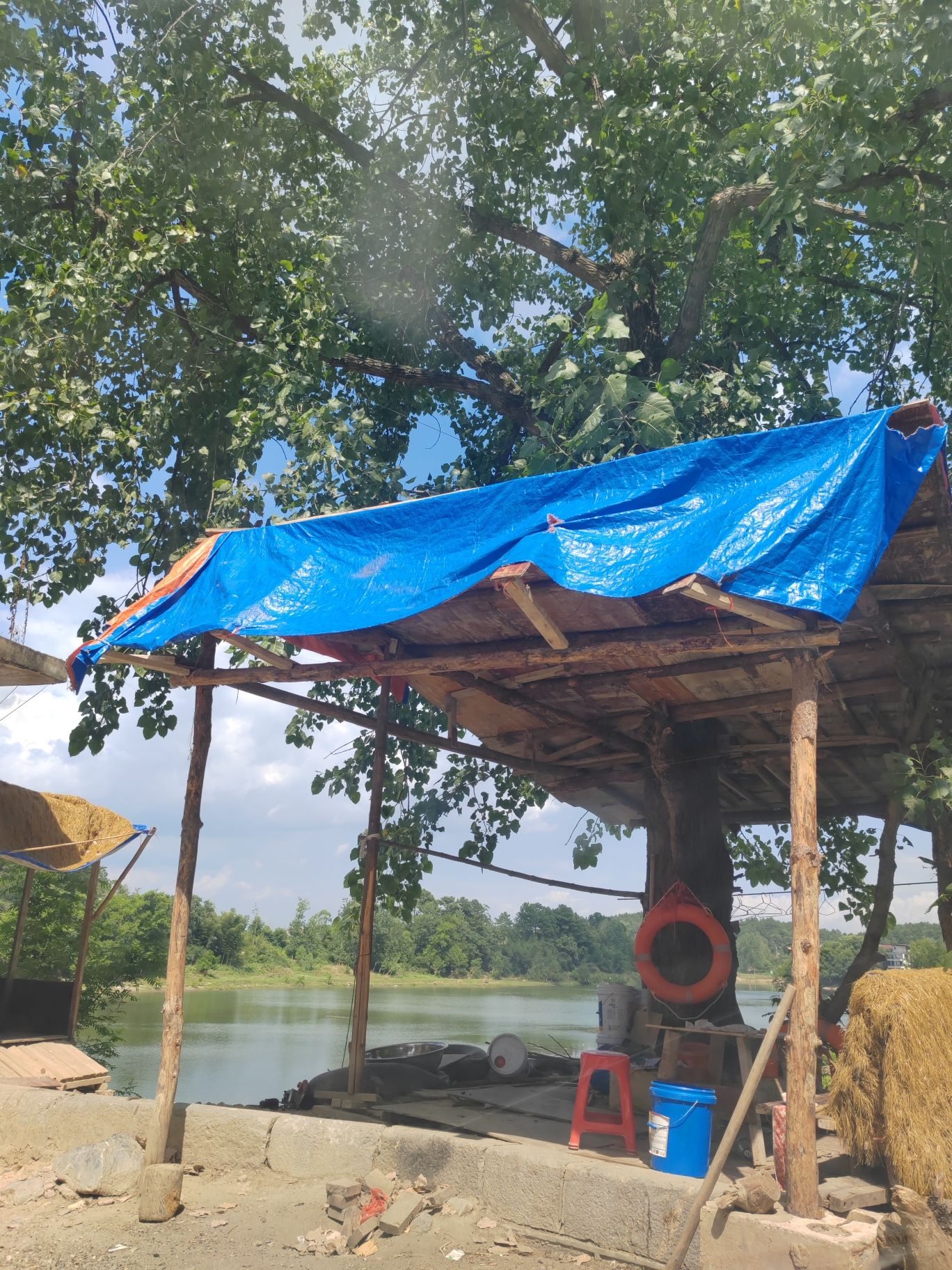 言栗东风桥风景区旅行图片 2